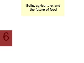Soils, agriculture, and the future of food