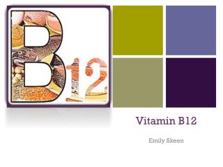 PPT - Vitamin B12 PowerPoint Presentation, Free Download - ID:1954179