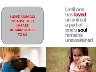 I LOVE ANIMALS BECAUSE THEY IMPART HUMAN VALUES TO US