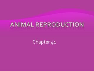 PPT - Animal Reproduction PowerPoint Presentation, free download - ID ...