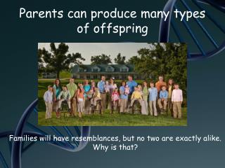 Parents can produce many types of offspring