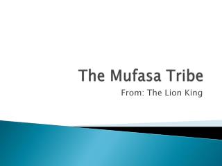 The Mufasa Tribe