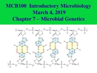 MCB100 Introductory Microbiology March 4, 2019 Chapter 7 – Microbial Genetics