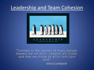 Leadership and Team Cohesion