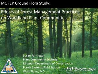 MOFEP Ground Flora Study: Effects of Forest Management Practices on Woodland Plant Communities