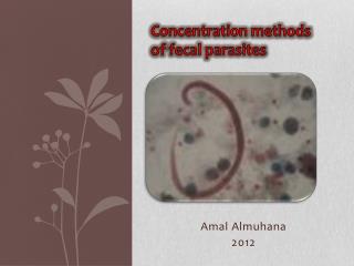 Concentration methods of fecal parasites