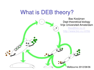What is DEB theory?