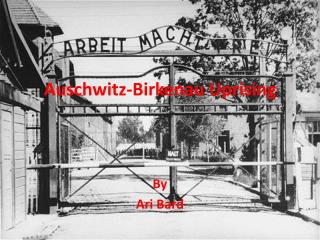 Auschwitz-Birkenau Uprising