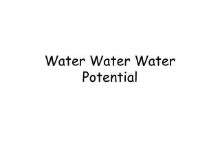 Water Water Water Potential