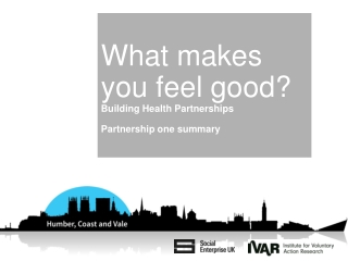 What makes you feel good? Building Health Partnerships Partnership one summary