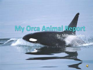 My Orca Animal Report