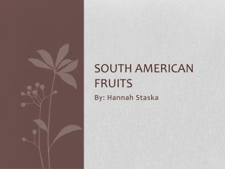 South American Fruits