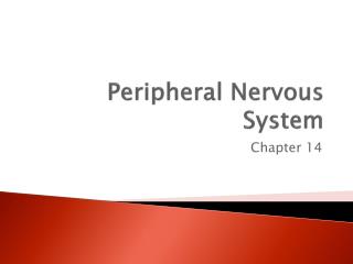 Ppt Peripheral Nervous System Powerpoint Presentation Free Download Ppt Peripheral Nervous System Powerpoint Presentation Free Download