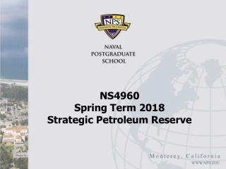 NS4960 Spring Term 2018 Strategic Petroleum Reserve