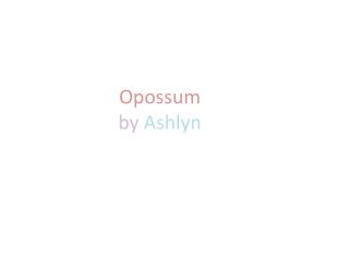 Opossum by Ashlyn