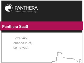 Panthera SaaS