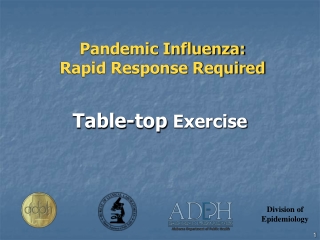Pandemic Influenza: Rapid Response Required