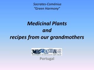 Socrates-Coménius “ Green Harmony ” Medicinal Plants and recipes from our grandmothers
