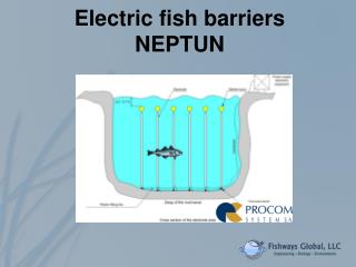Electric fish barriers NEPTUN