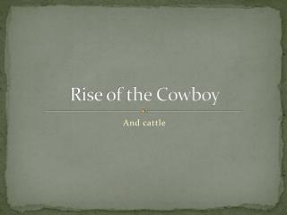 Rise of the Cowboy