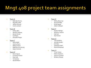 Mngt 408 project team assignments