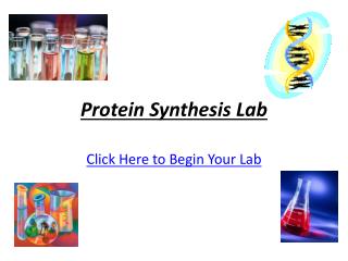 Protein Synthesis Lab