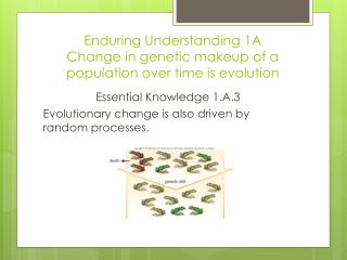 Enduring Understanding 1A Change in genetic makeup of a population over time is evolution