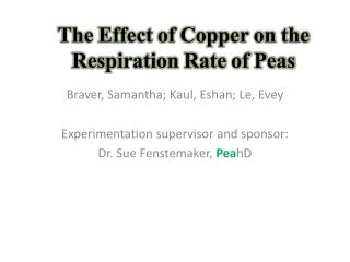 The Effect of Copper on the Respiration Rate of Peas