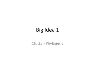 Big Idea 1