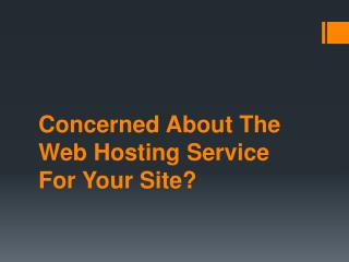 Concerned About The Web Hosting Service For Your Site?