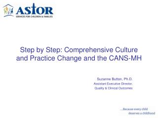 Step by Step: Comprehensive Culture and Practice Change and the CANS-MH
