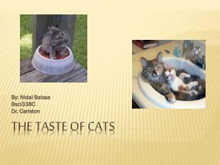 The Taste of Cats