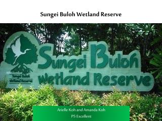 Sungei Buloh Wetland Reserve