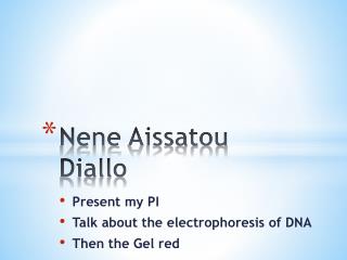 Nene Aissatou Diallo