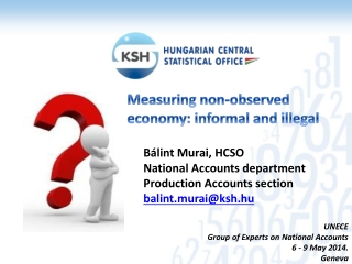 Measuring non-observed economy: informal and illegal