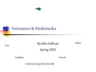 Animation & Multimedia
