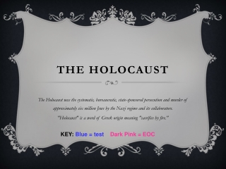 THE HOLOCAUST