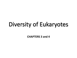 Diversity of Eukaryotes