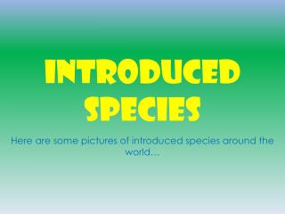 INTRODUCED SPECIES