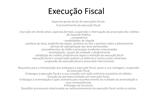 Execu o Fiscal