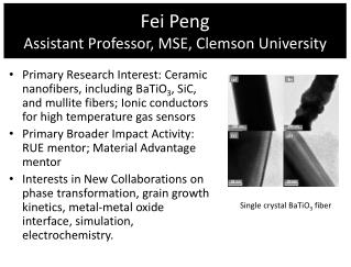 Fei Peng Assistant Professor, MSE, Clemson University