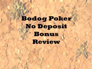No Deposit Bodog Poker Bonus Review