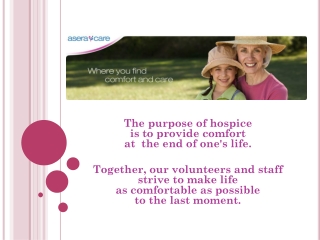 What is Hospice?