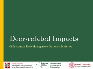 Deer-related Impacts