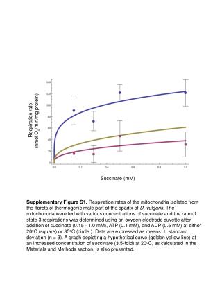 Respiration rate (nmol O 2 /min/mg protein)