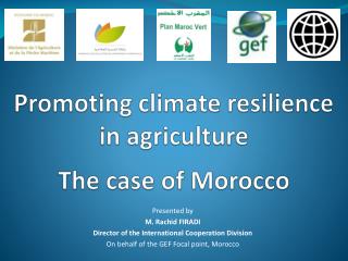 Promoting climate resilience in agriculture The case of Morocco