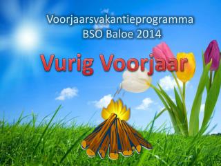 Voorjaarsvakantieprogramma BSO Baloe 2014