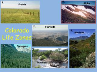 Colorado Life Zones