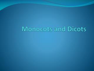 Monocots and Dicots