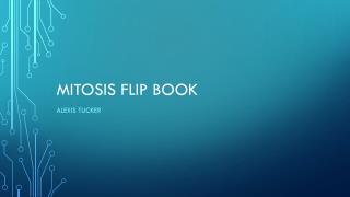 Mitosis Flip Book